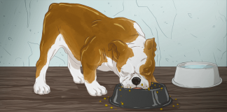 BTCast 221: Piedade em Lutero