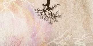 Literário 007: O Discípulo Radical – John Stott