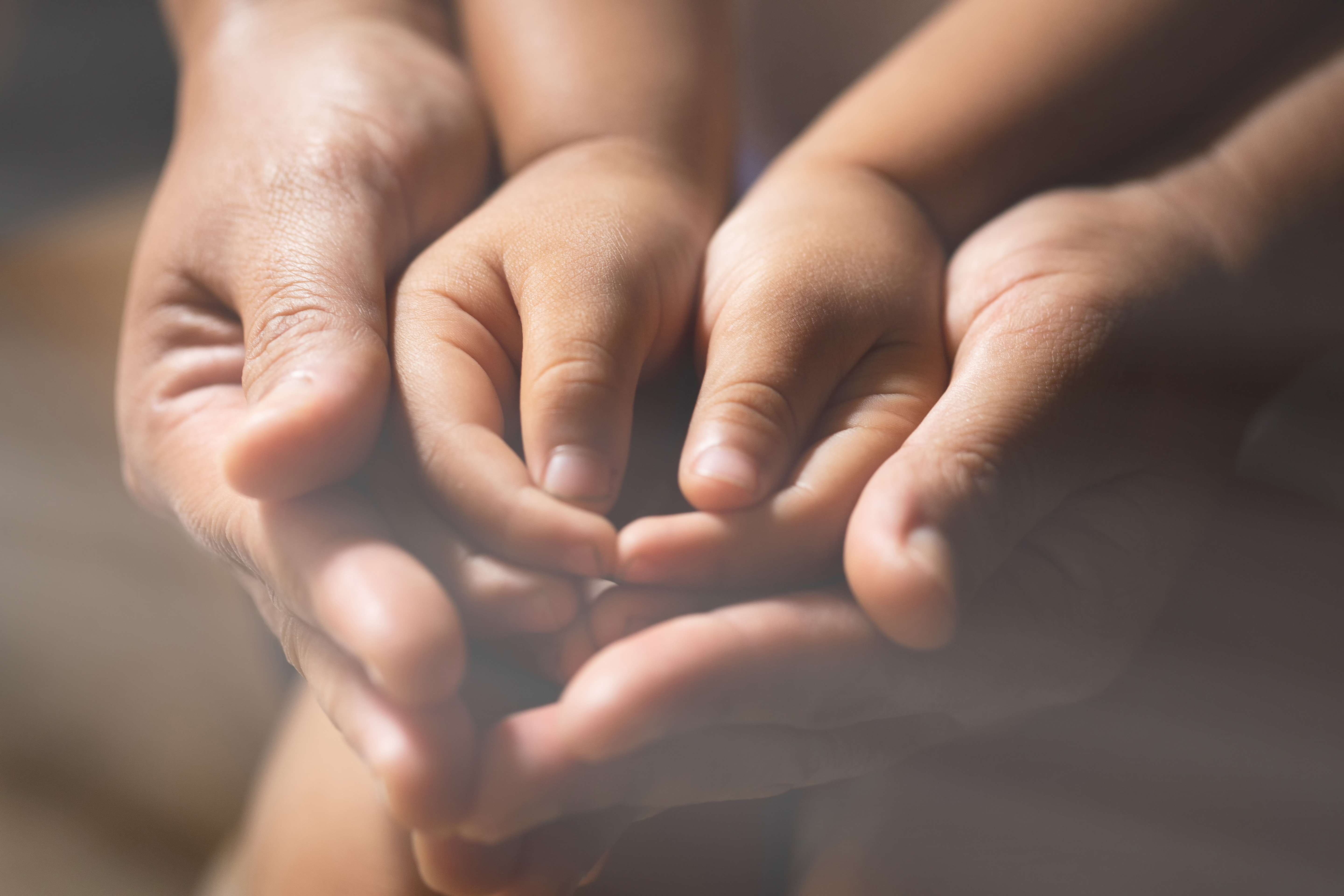 A Família Do Pastor Pastoreando Sua Família Em Meio Aos Desafios