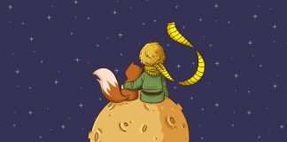 392: O Pequeno Príncipe – Antoine de Saint-Exupéry – Literário 016