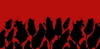 407: A Peste – Albert Camus – Literário 019