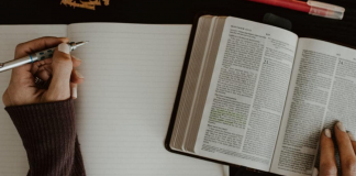 Antigas doutrinas para uma nova política