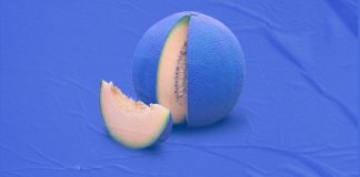 O triste fim de André Fortunato | História de Pescador