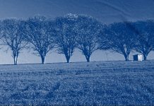 Olhai os lírios do campo | Epílogo