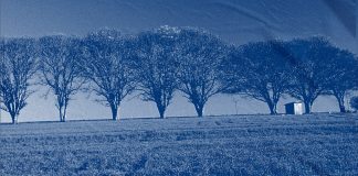 Olhai os lírios do campo | Epílogo