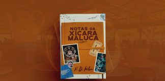 499: Notas da xícara maluca – N. D. Wilson – Literário 041