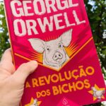 17950129861988084_irmaos_com