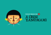 540: A crise Yanomami
