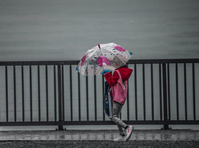 a woman walking down a street holding an umbrella