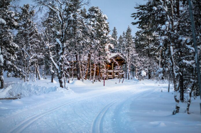 green leafed trees and brown cabin