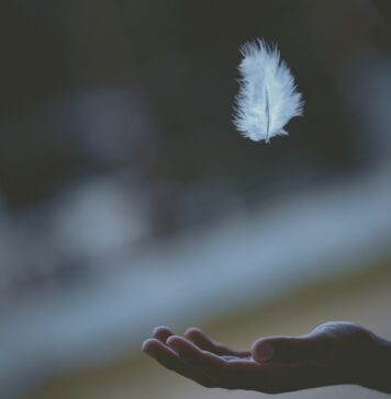 Deus está neste momento shallow focus photography of white feather dropping in person's hand