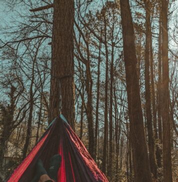 O trabalho terminado de Deus a person laying in a hammock in the woods