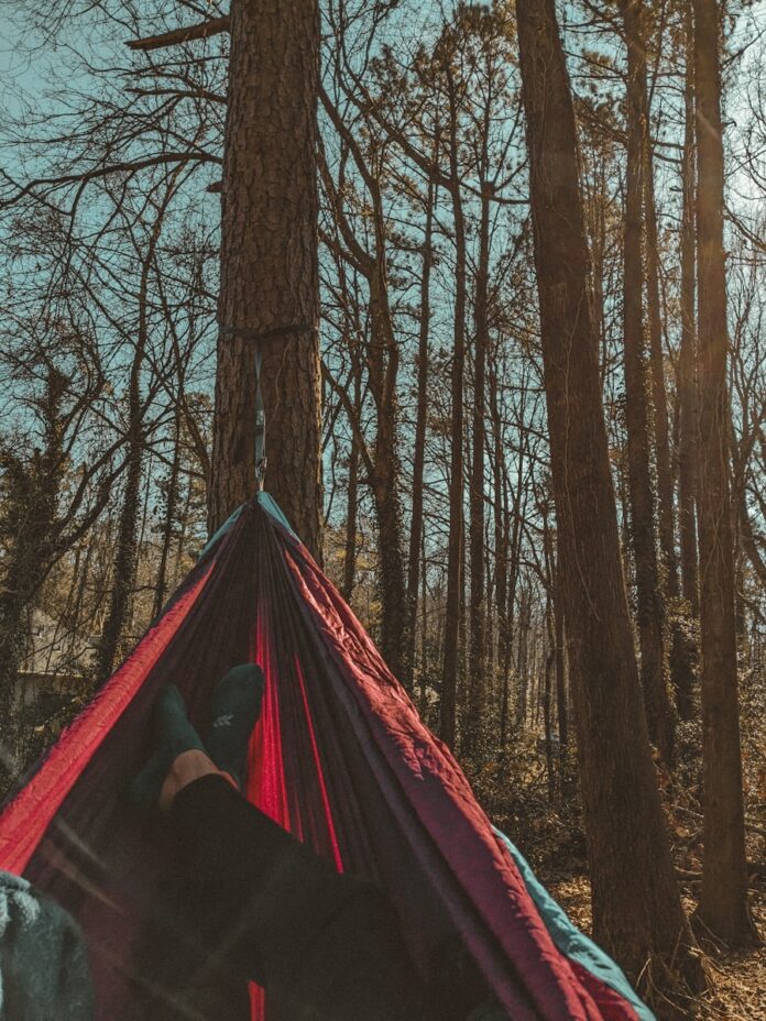 Photo by Shelbie Fredericks a person laying in a hammock in the woods