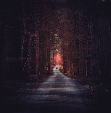 Deus o conduz person walking in middle of tress