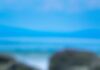 Restaurando esperança à alma shallow focus photography of green leaf
