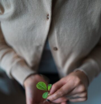 Plante boas sementes person in white blazer holding green heart ornament