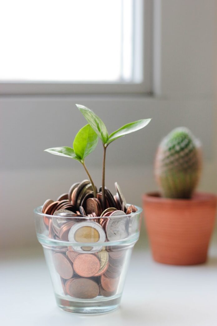 Photo by micheile henderson green plant in clear glass cup
