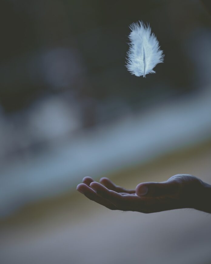 Photo by Javardh shallow focus photography of white feather dropping in person's hand