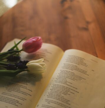 Confissão revela nossos corações Two tulips and purple flowers rest on an open book