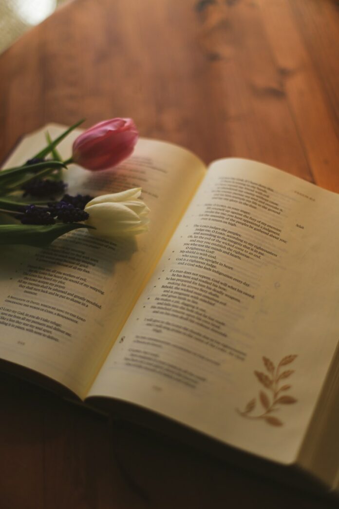 Photo by Jessica Fadel Two tulips and purple flowers rest on an open book
